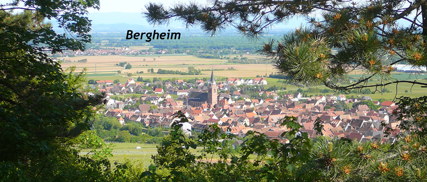 bergheim-p118 501.jpg